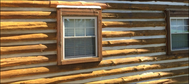Log Home Whole Log Replacement  Spalding County, Georgia