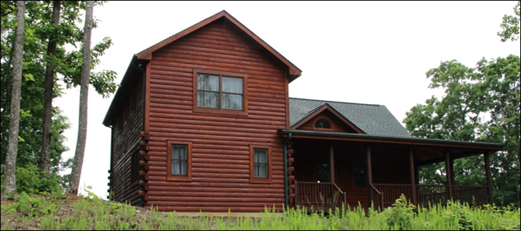 Professional Log Home Borate Application  Spalding County, Georgia